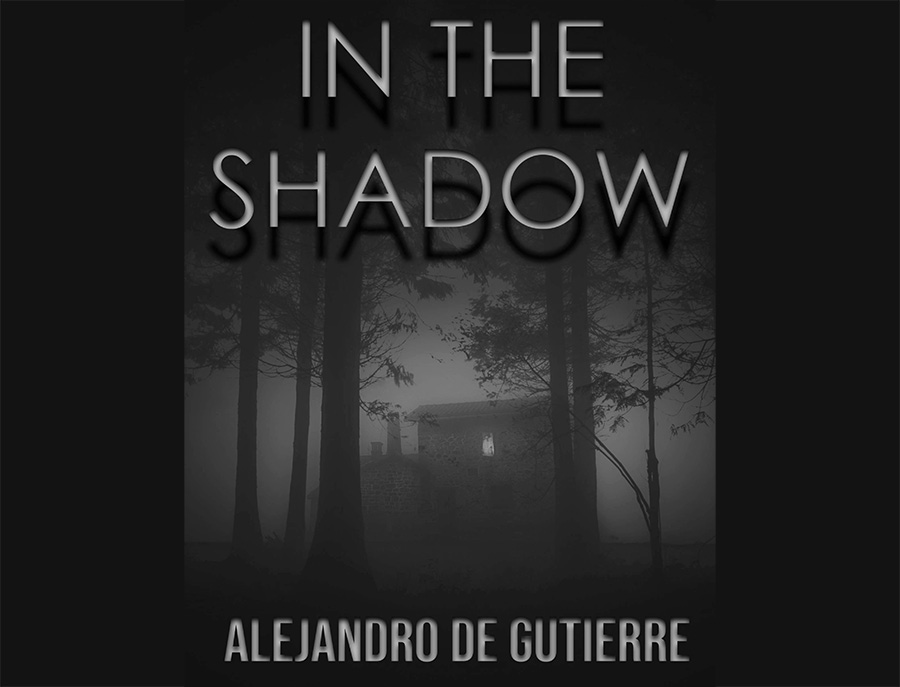 In the Shadow cover art